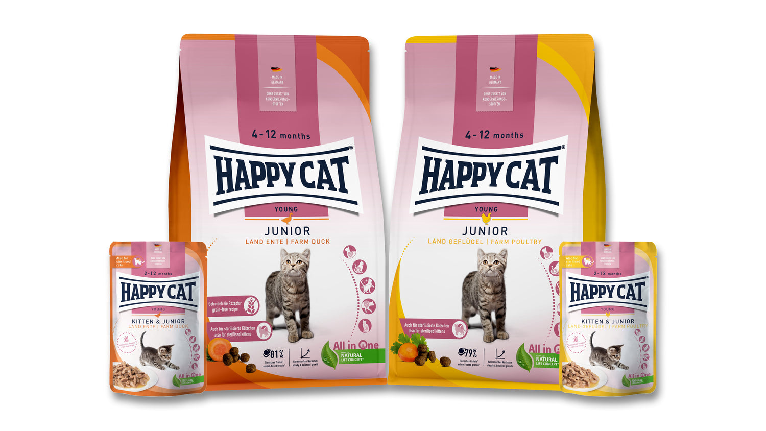 Happy Cat Young