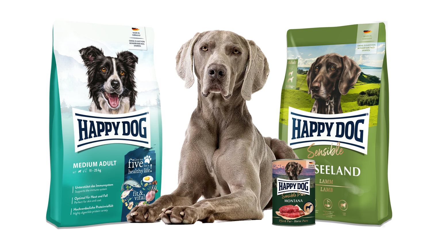 Adult Dog Food
