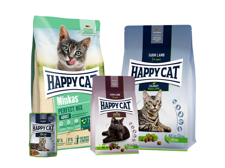 Happy Cat Sale