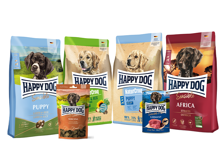 All Dog Food