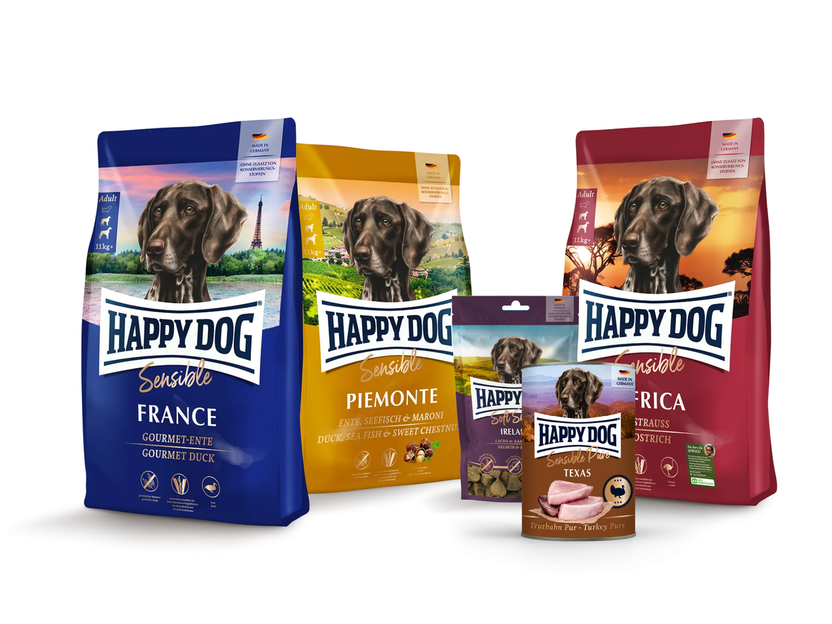 Happy Dog Sensible