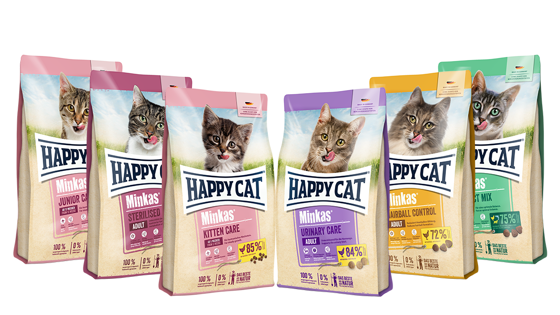 All Cat Food