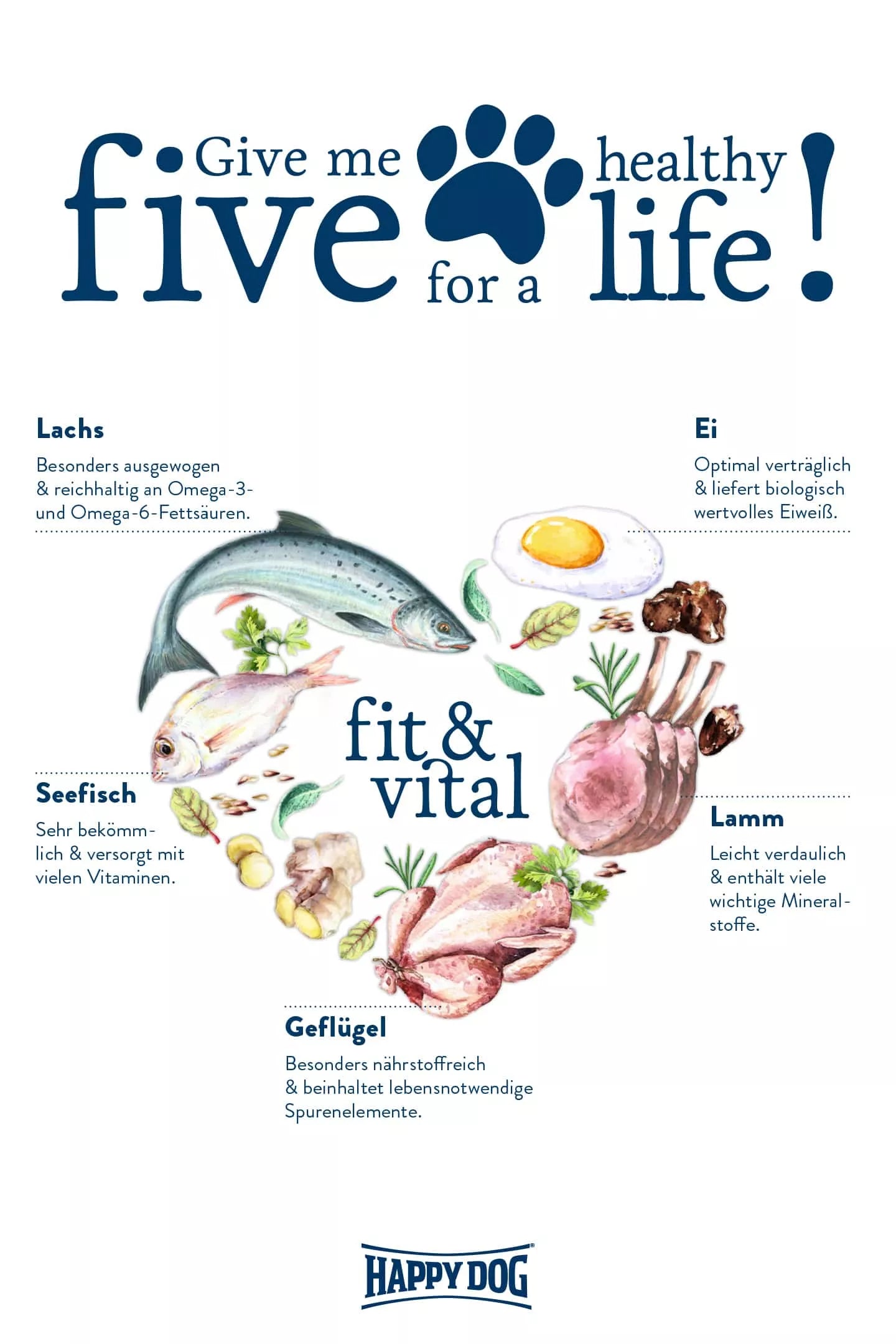 Fit & Vital Mini Light