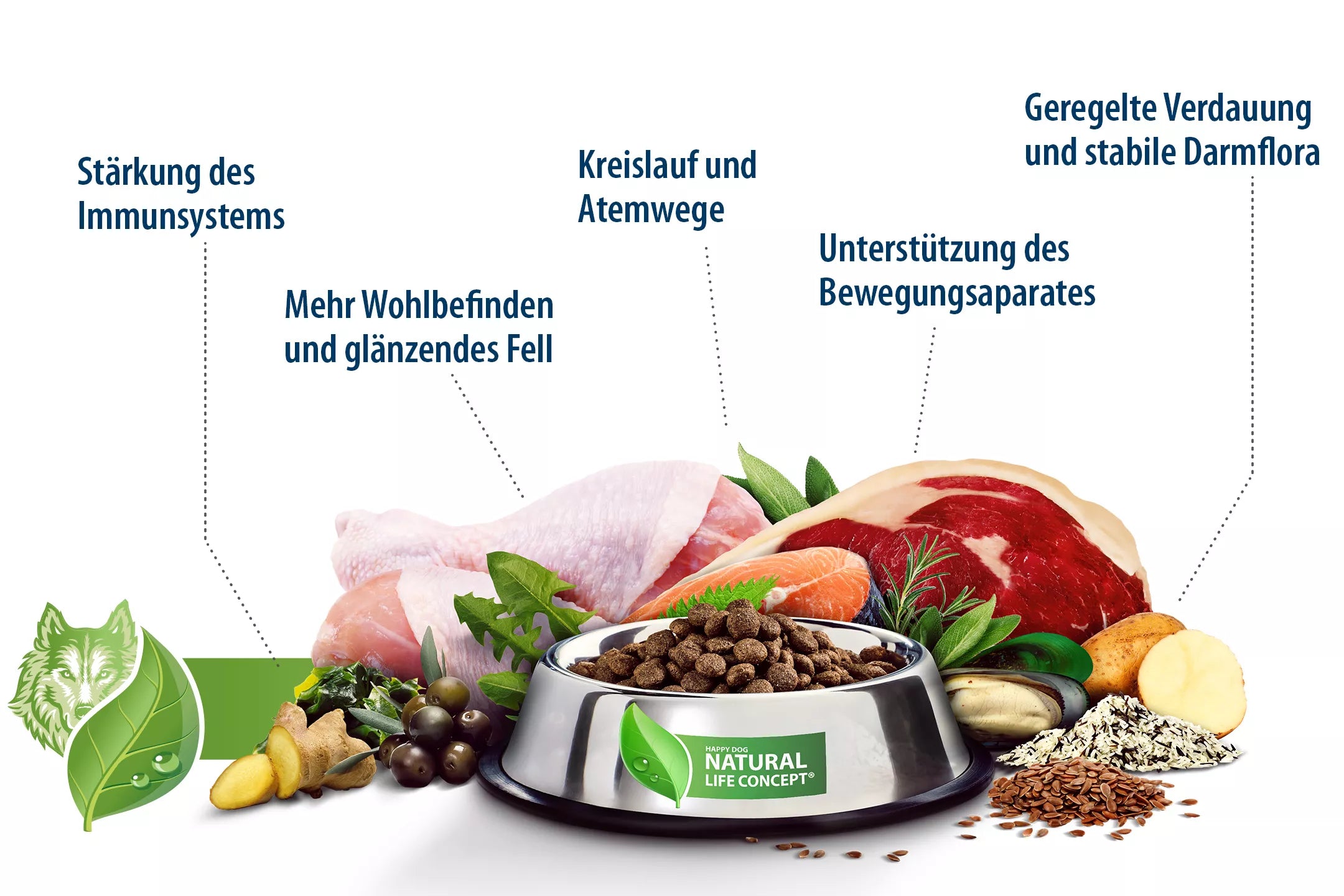 Fit & Vital Mini Light