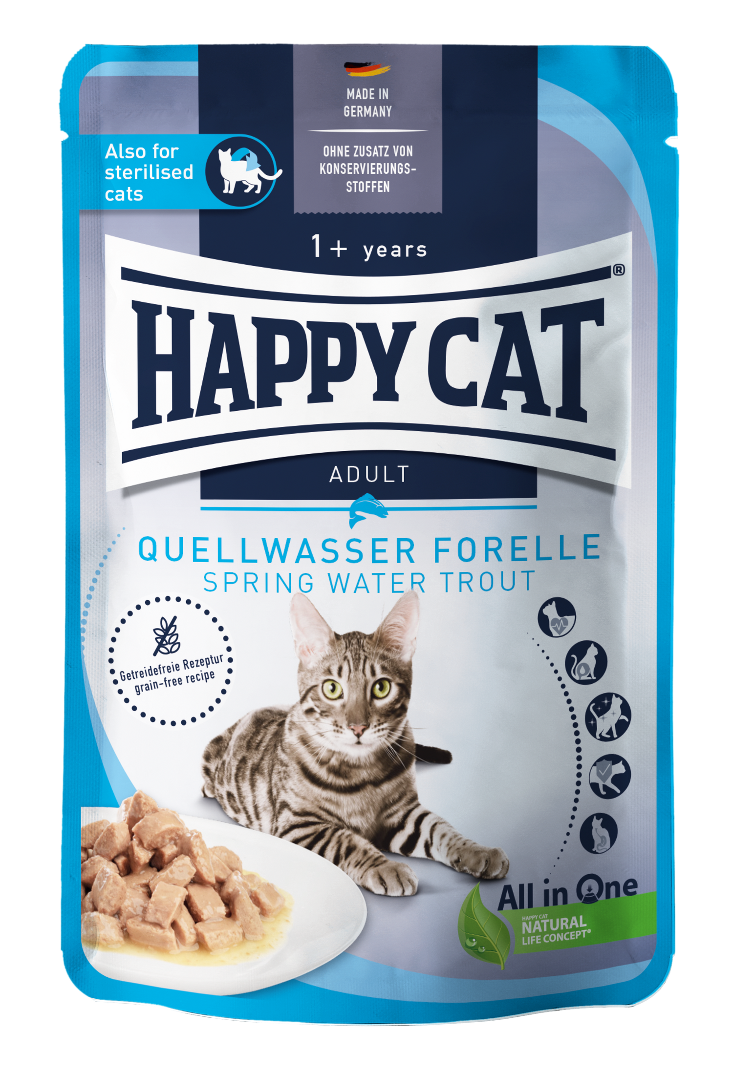 Culinary Spring water trout Meat in Sauce