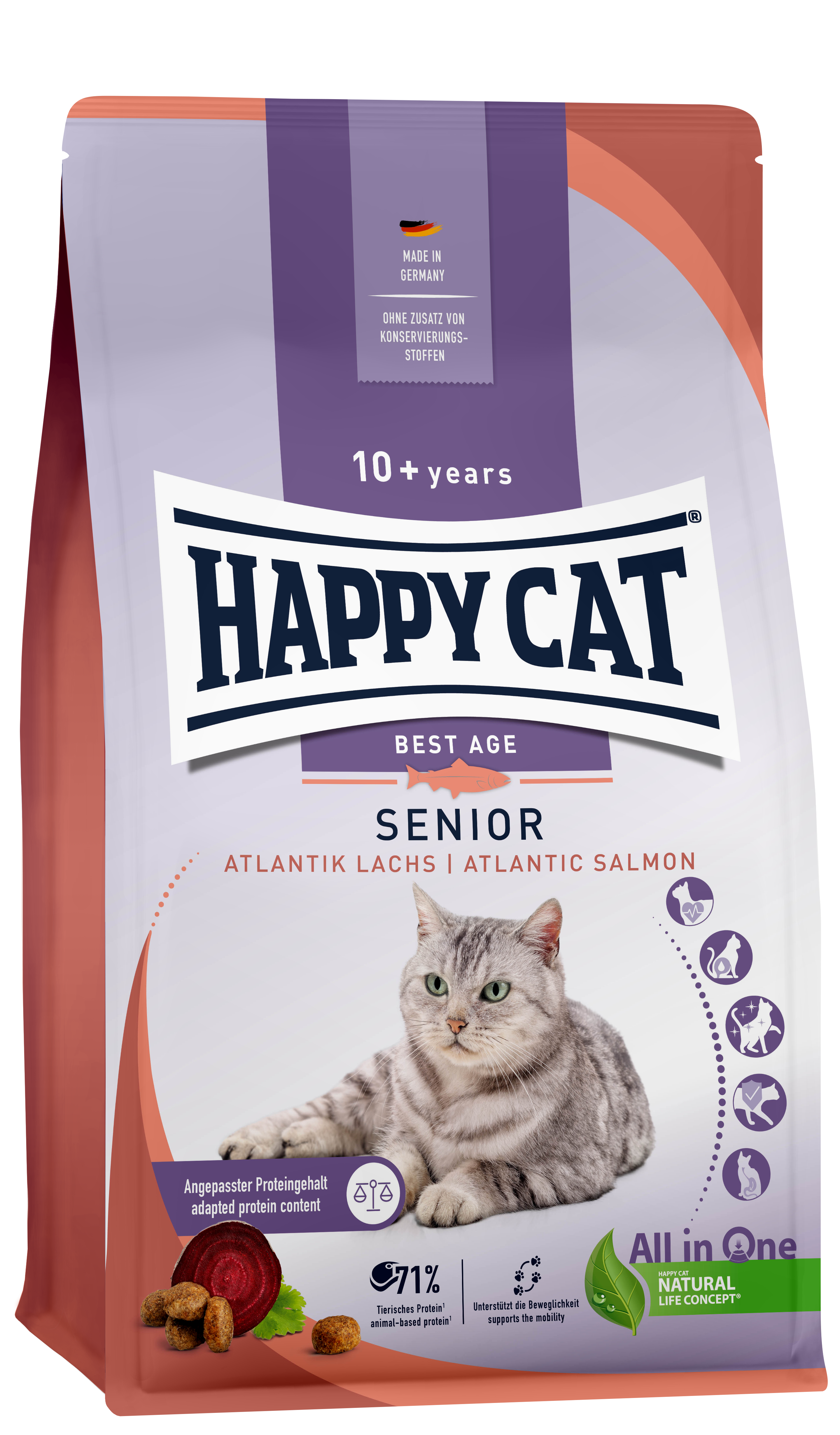 Senior Atlantic Salmon