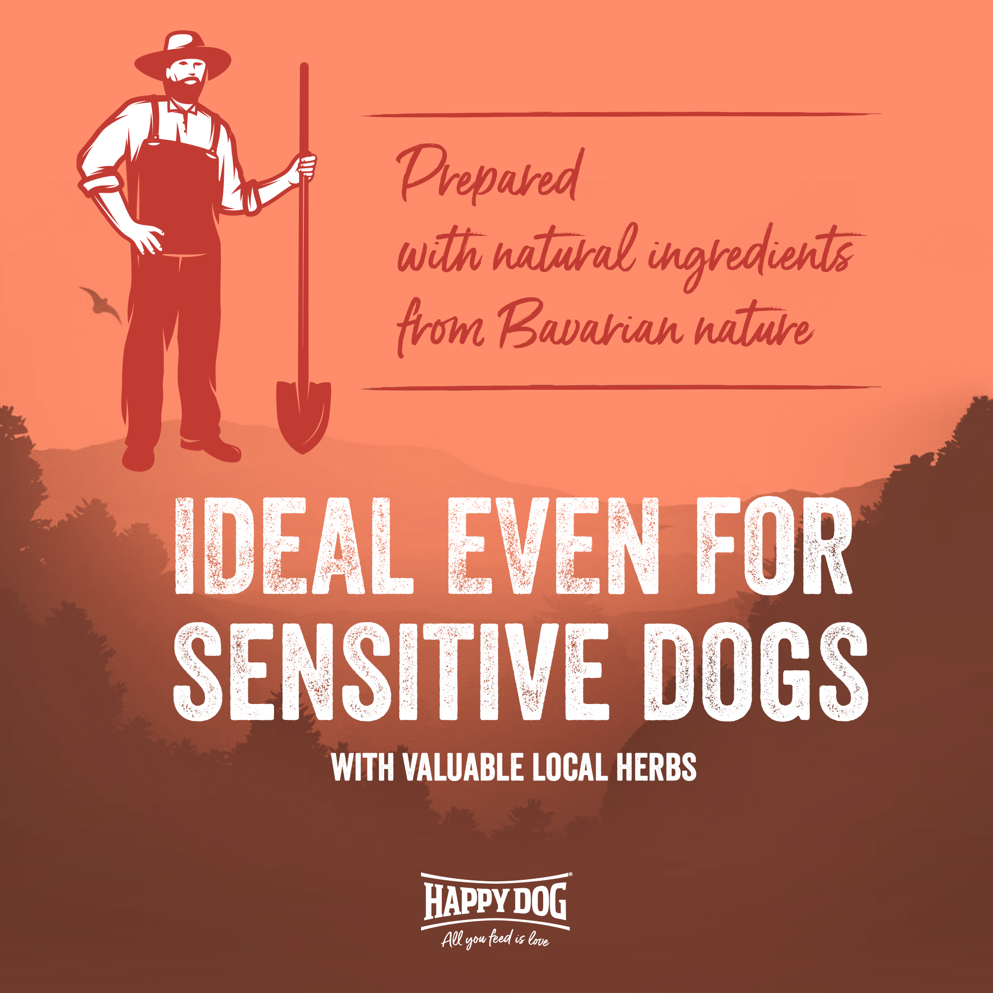 NaturCroq Mini Salmon & Rice Training Snack