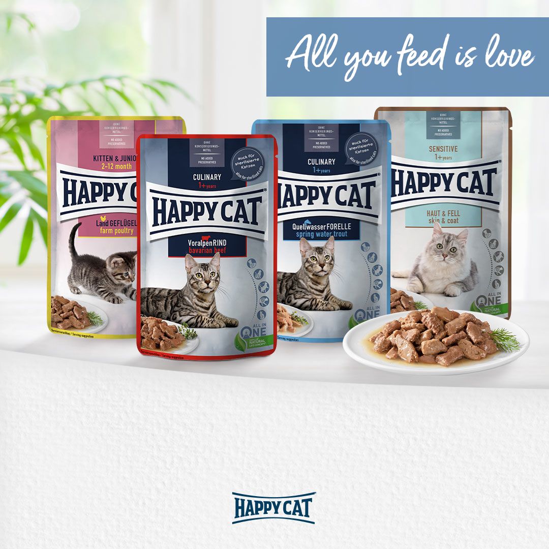 Culinary Bavarian Beef Meat in Sauce