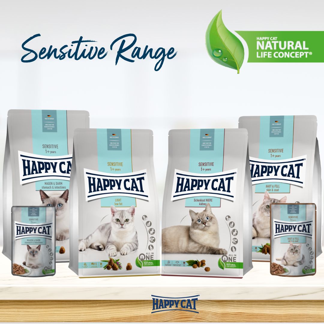 Care stomach & intestine Meat in Sauce