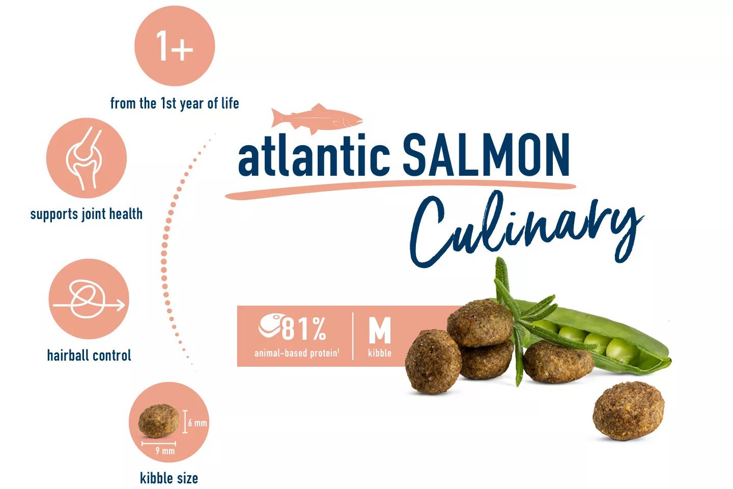 Culinary Atlantic Salmon
