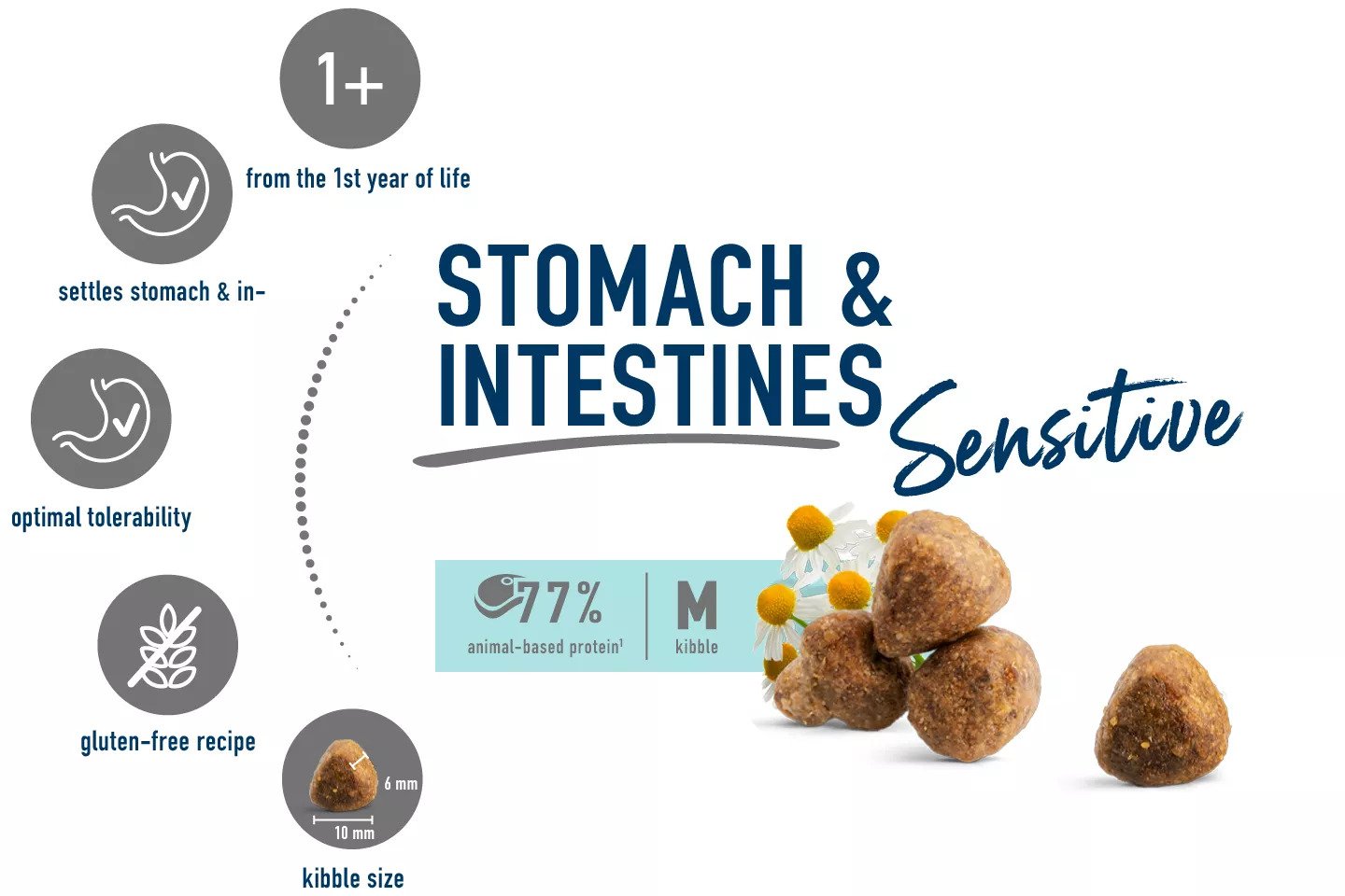 Care Stomach & intestine