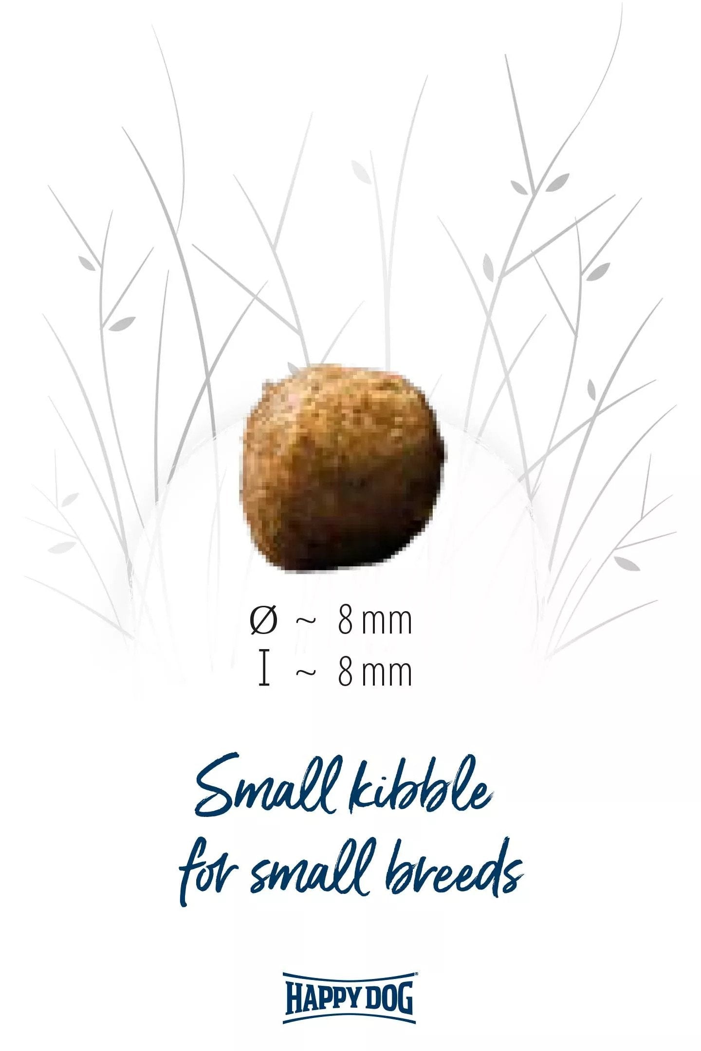 Fit & Vital Mini Adult Bundle