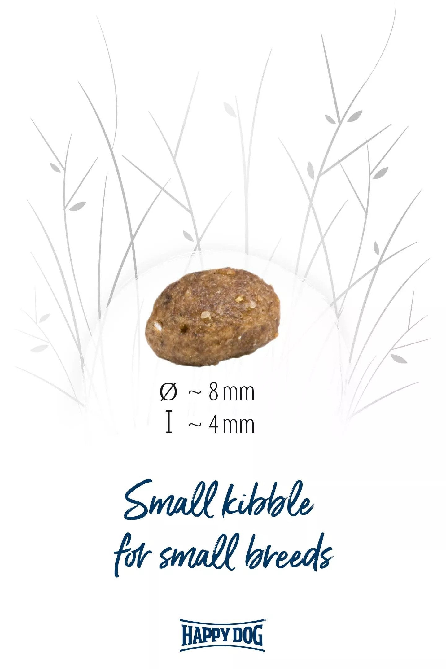 Fit & Vital Mini Adult Bundle