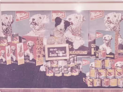 1965 - First dog food