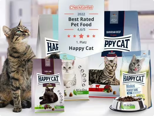 Best Rated Pet Food 2022