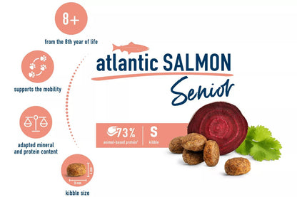 Senior Atlantic Salmon