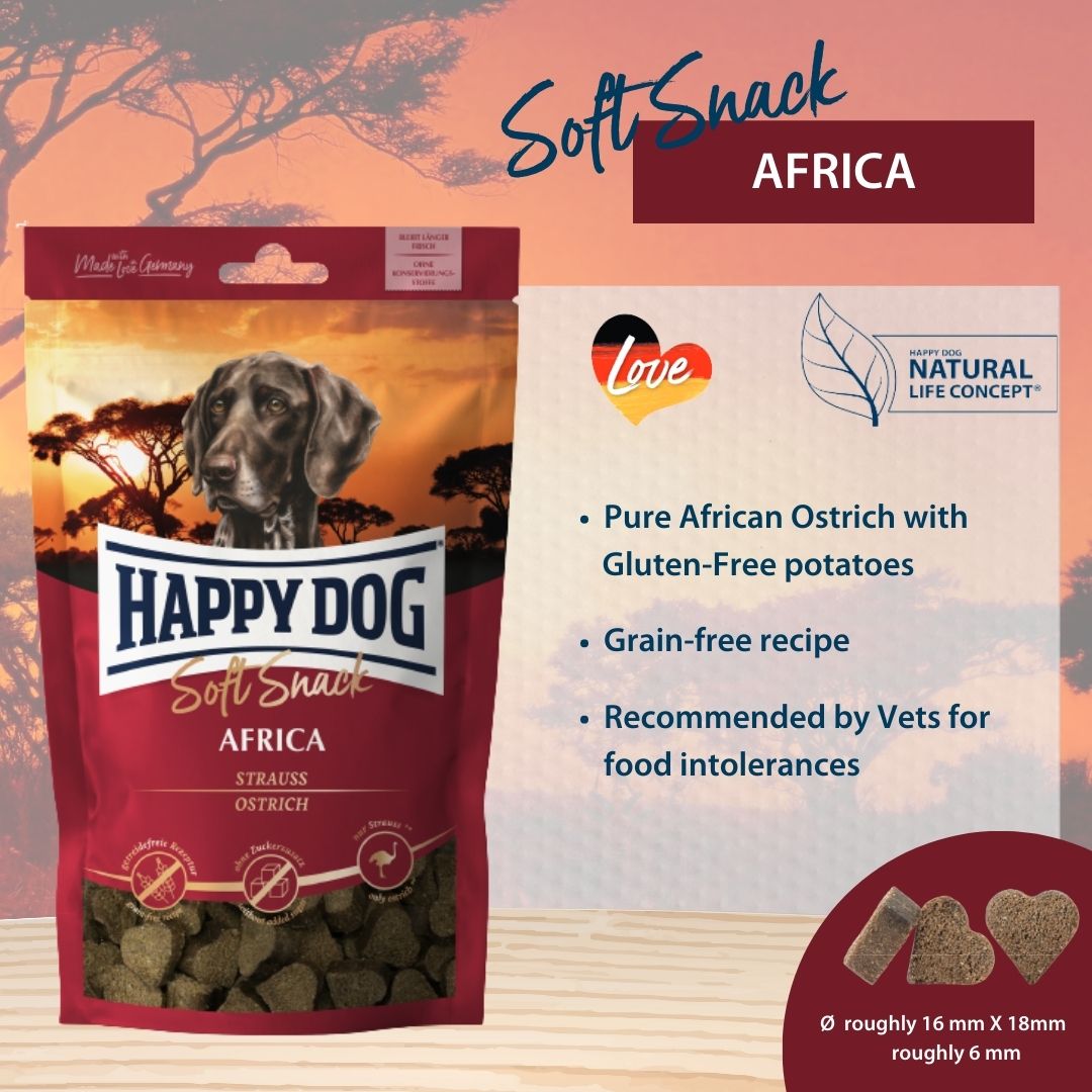 Sensible Africa Soft Snack