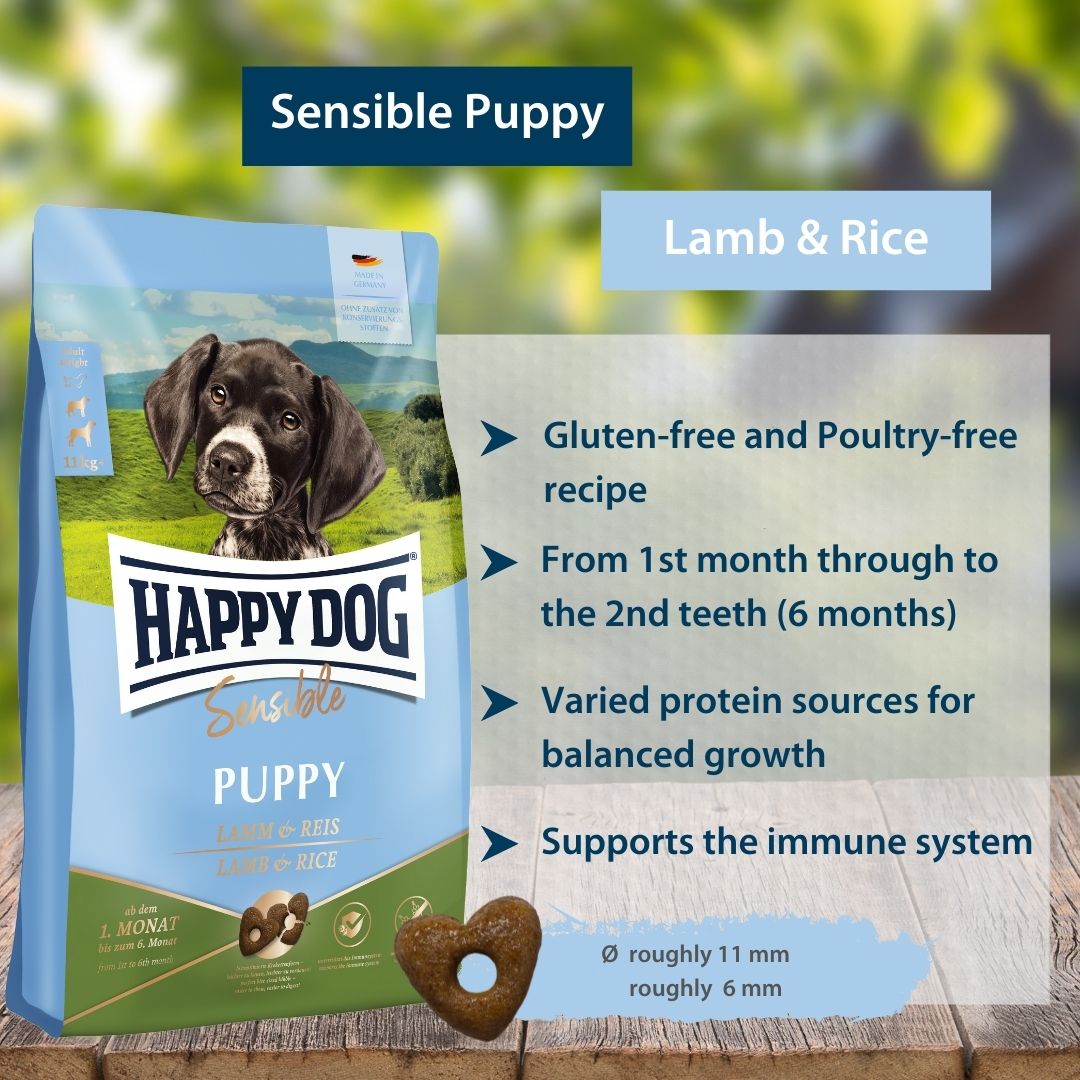 Sensible Puppy lamb and rice