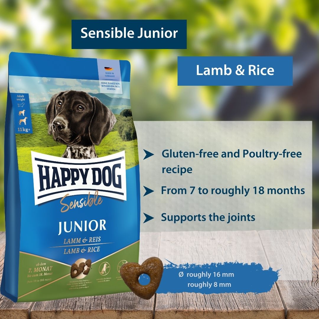 Sensible Junior Lamb and Rice