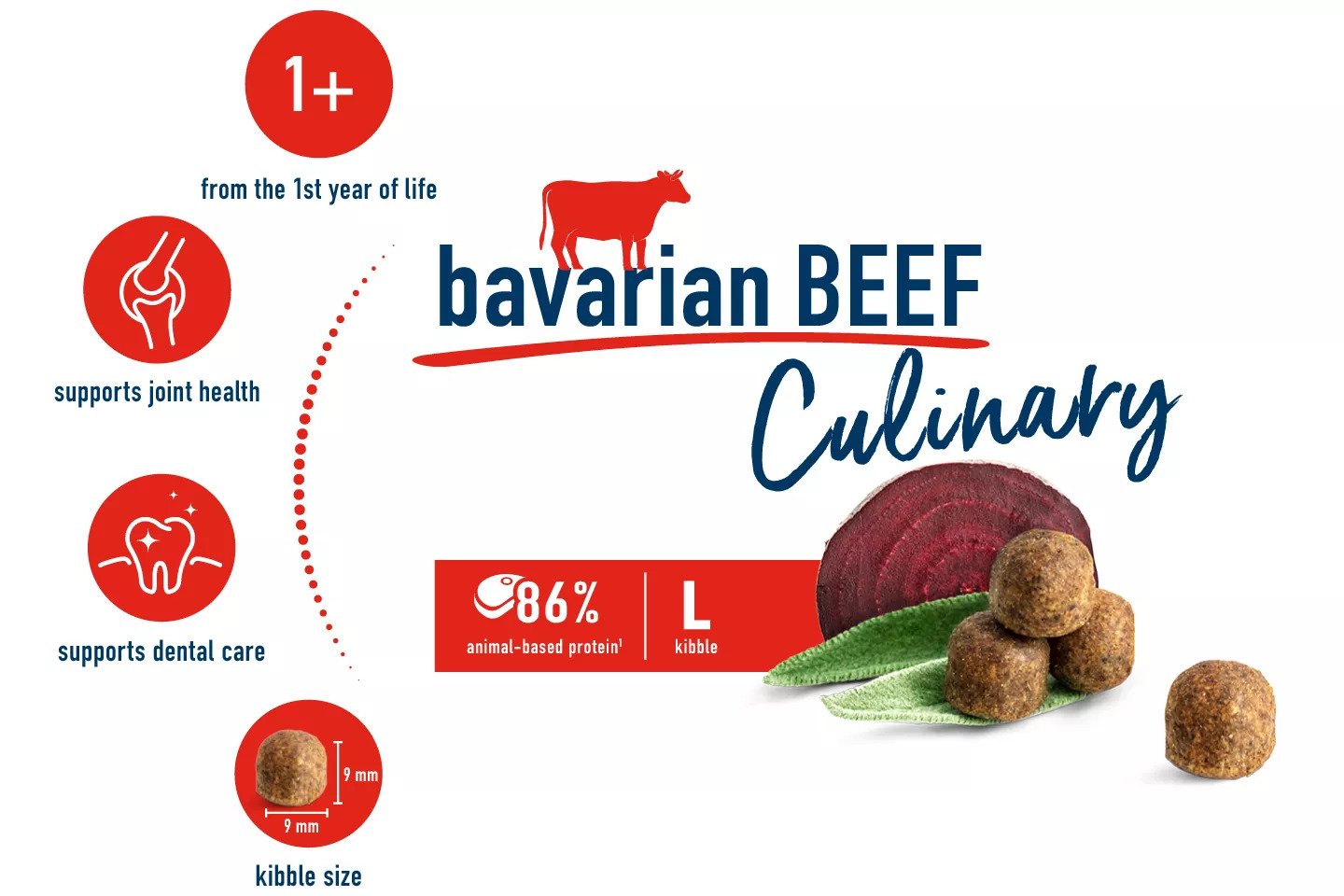 Culinary Bavarian Beef