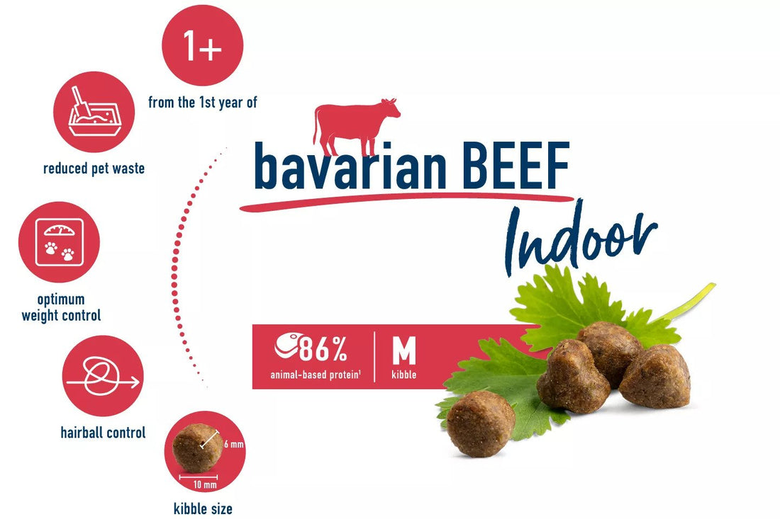 Indoor Bavarian Beef