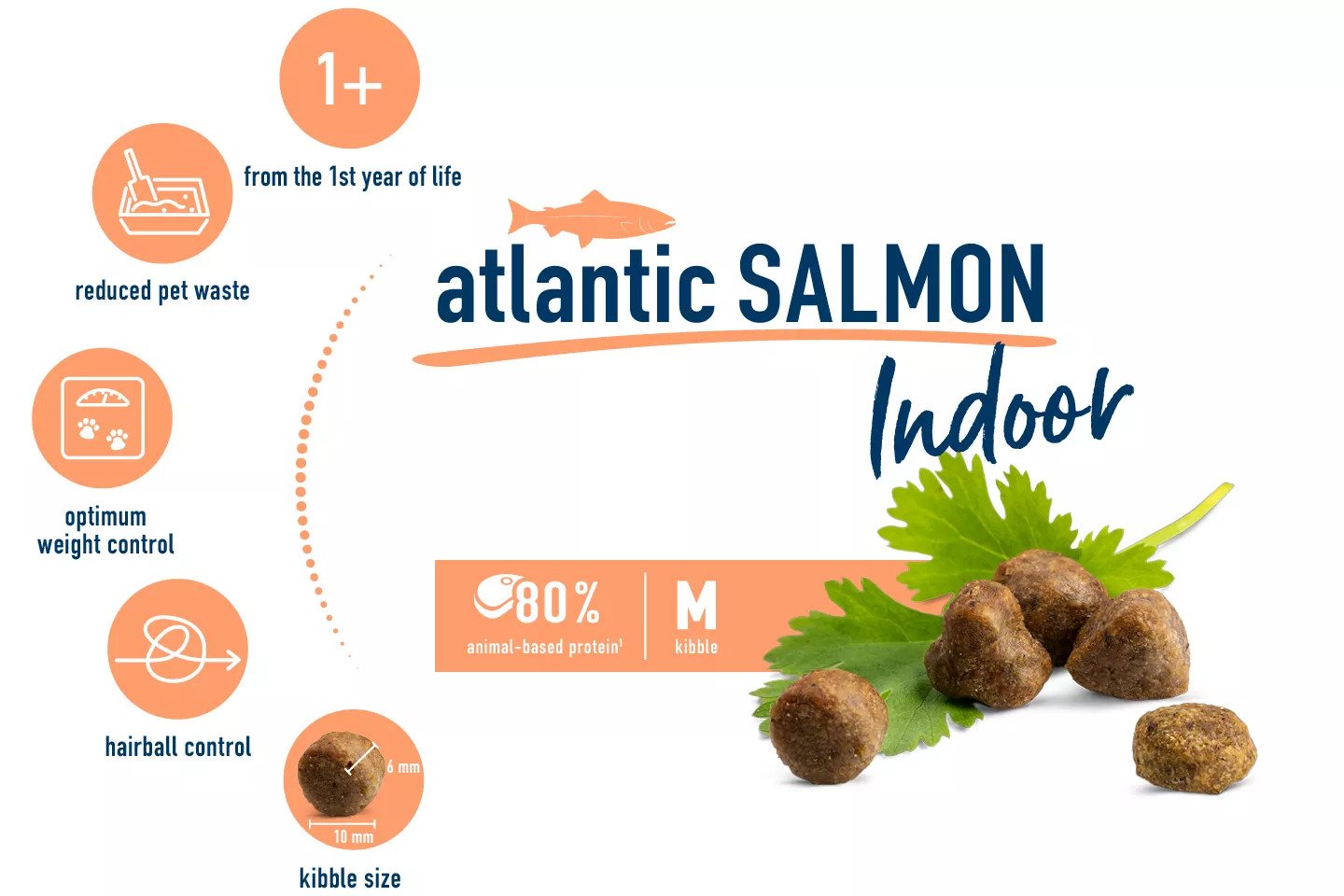 Indoor Atlantic Salmon