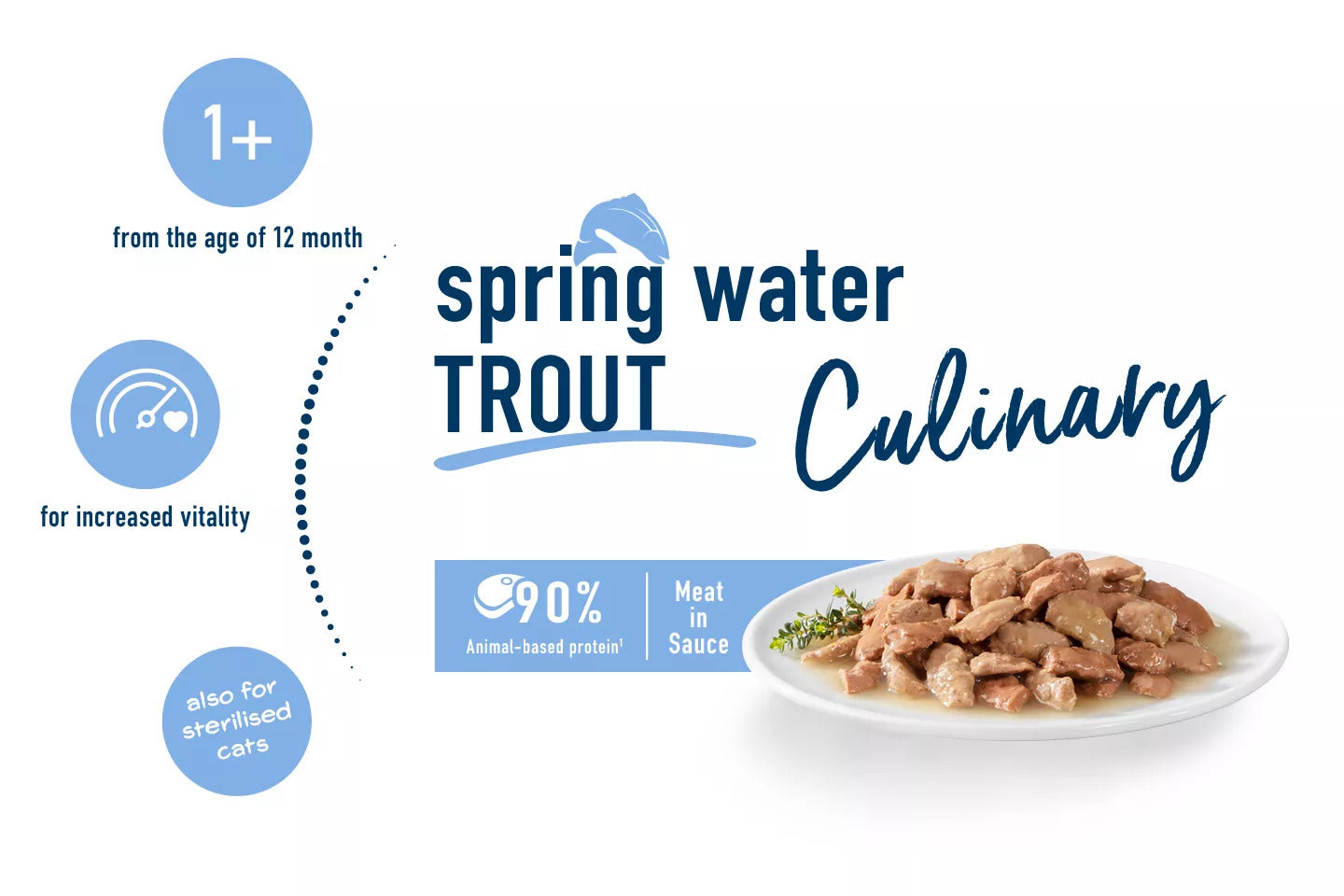 Culinary Spring water trout wet food meat in sauce