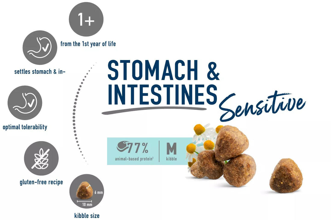 Care Stomach &amp; intestine