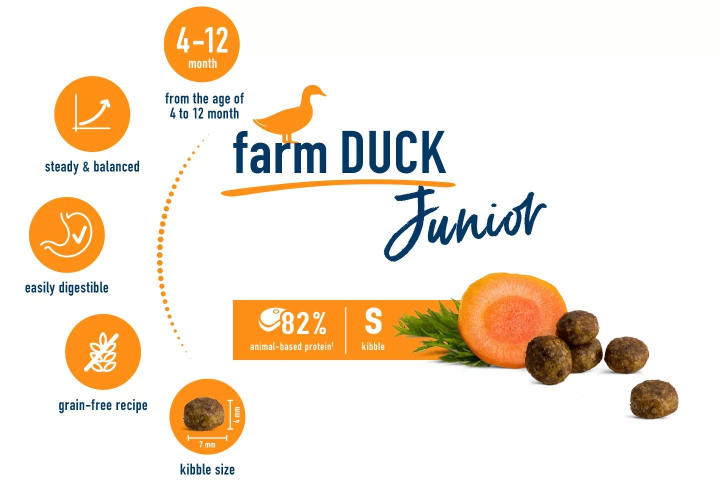 Junior Farm Duck