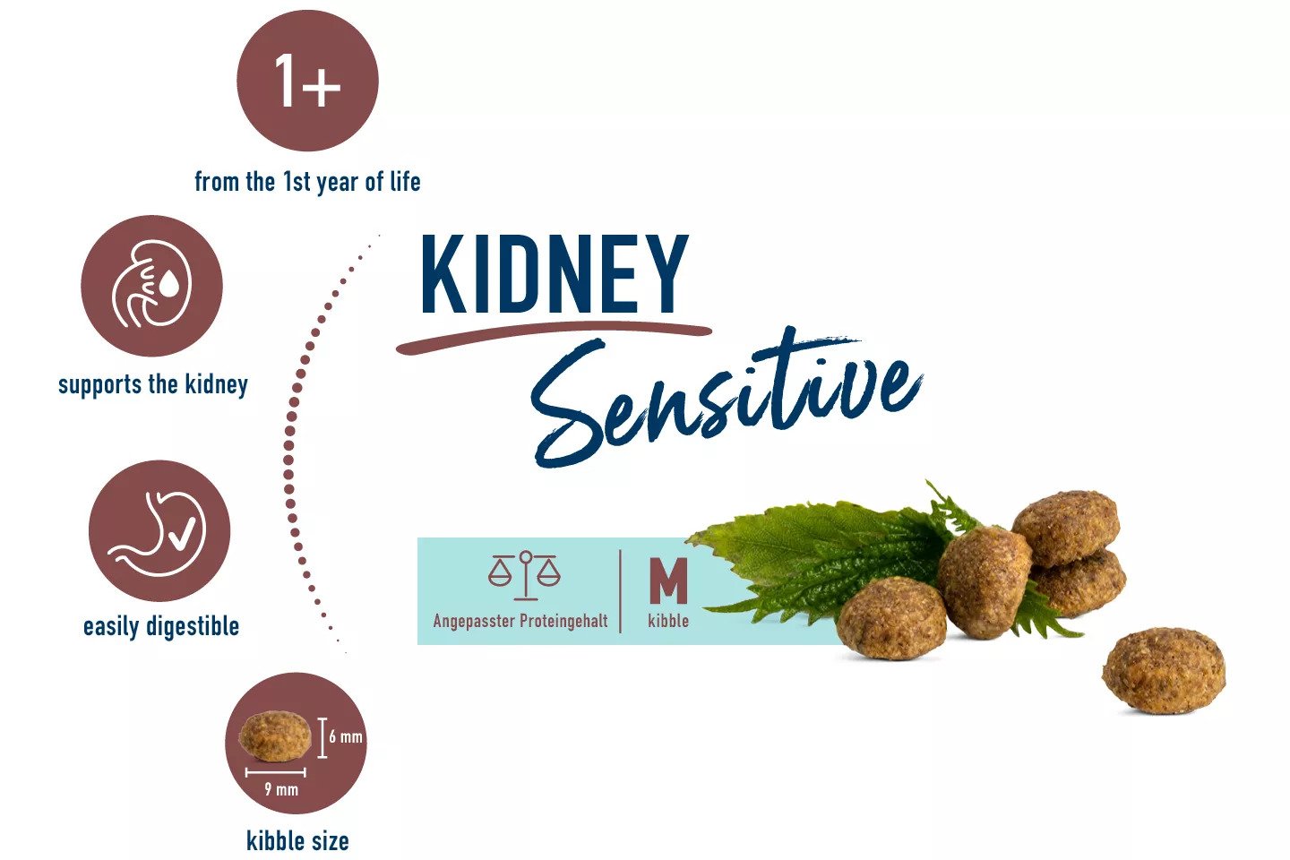 Sensitive Kidney Diet