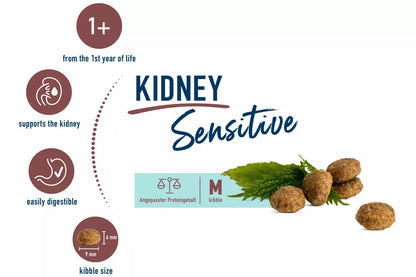 Sensitive Kidney Diet